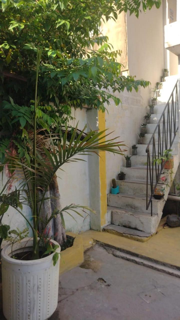 Hostel Girassol