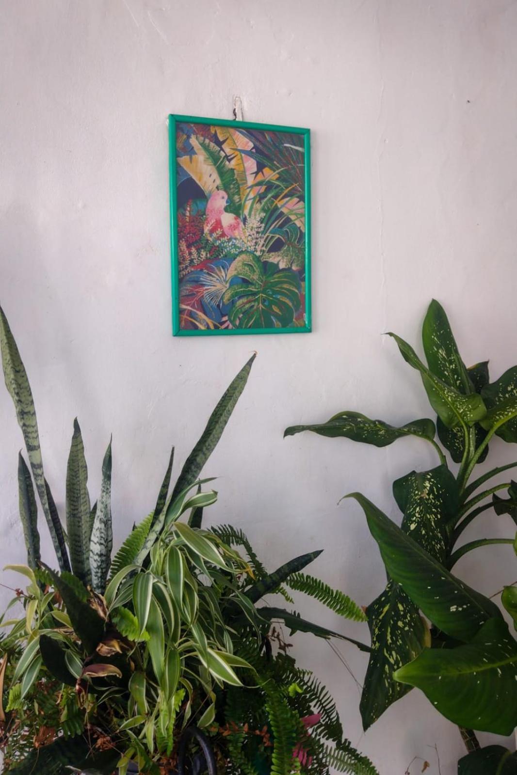 Girassol Hostel *